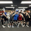 팀플복싱