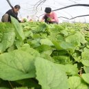 다목농장 이미지