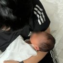 병원1 | 대전 서울여성병원 1조리원 후기