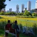 미추홀공원(다례원 내) 이미지