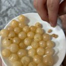 경북/영주] 경북 영주 1박 2일 애견동반 태교여행 - 영주 배때기네하우스/순흥기지떡 영주점/영주 무섬마을