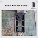삼화 우수한 동물병원 | 양천구 강화유리문 힌지 교체로 빠르게 닫힘 수리