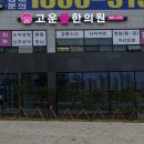 더플랜트치과의원 이미지