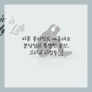 커튼블라인드윈도우데코