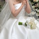 D17 | D17.[셀레네] -본식 웨딩드레스 후기!