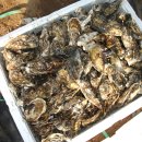 김동기농장 이미지