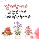 오대양육대주