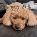 봉담장례식장 이미지