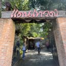 동화택시 노동조합 | 태국 치앙마이 자유여행코스 1일차 / 택시투어 / 단테와다 카페 후기, 입장료, 인생샷 사진명소 추천