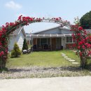 대지부동산중개사무소 이미지