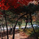 청운공원 이미지