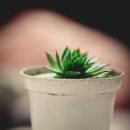 대중병원 이미지