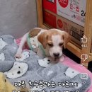 유독이쁨 이미지