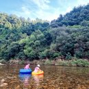 고릴라펜션 이미지