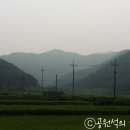 장성슈퍼 이미지