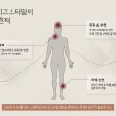 서울 고급 스파 추천: 강남 대치동 SPA 1978 홍삼 케어의 특별함