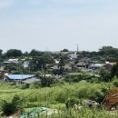 도성농장 이미지