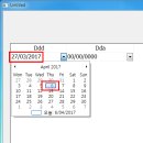 DW Editmask drop-down calendar, Month Calendar 문제점 이미지