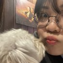 문수정소 이미지