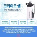 아미의원 Daum카페