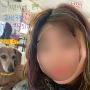 지은이네 민박 이미지