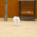 방도리 108 이미지