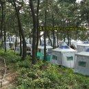 몽골(하이픽)텐트 이용 종료 이미지