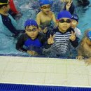 합기도 흑추관 이미지