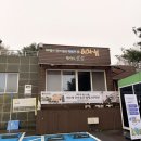 비자림빌리지1 | [제주/구좌] 비자림 | 비올 때 방문한 후기❗️| 나우다 무료 입장 가능