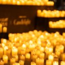 덕진-60 | 캔들라이트 콘서트 전주 후기, 덕진공원에 수놓아진 수천 개의 촛불과 클래식 선율