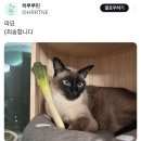 평리당 네이버블로그