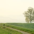 목장의아침 이미지