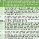 연세 행정사 사무소 이미지