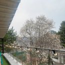 충북 제천 커피라끄 청풍호가 아름다운 카페(2025.4.2 내돈내산 방문후기)