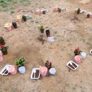 공덕초교병설유치원 이미지