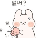 몽돌스테이1119 이미지