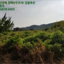 임고면-금대리-3