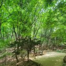 이천간호학원 이미지