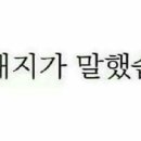 콘디레