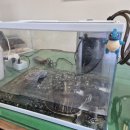 한라가든 | [제주/서귀포시] 감귤따기 체험 승마체험 '파더스가든'