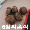 페리카나치킨먹거리점 | 내돈내산 음식 후기. 6월 맛있었던 먹거리 총정리.