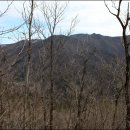 팔도장여관 이미지