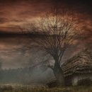 미스테리우스 이미지