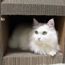 운지하우스 이미지