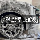 자이언트디테일링