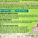 발로니아