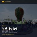 반도장터 | 봄이 부안에 먼저 왔다 | 제13회 부안마실축제 후기 + 변산반도생태탐방원