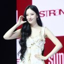 선미 이미지