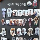 아름드리동물병원 이미지