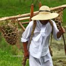 바우길 6구간 이미지